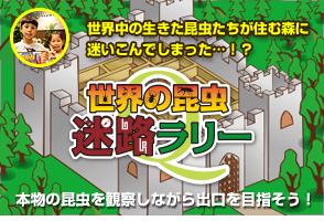 世界の昆虫迷路ラリー